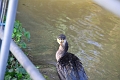 06 01 14_0418_edited-1